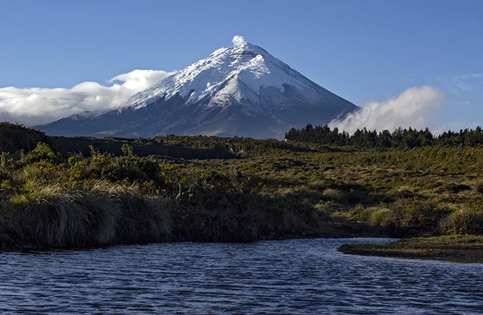 Cotopaxi Fashion Flower