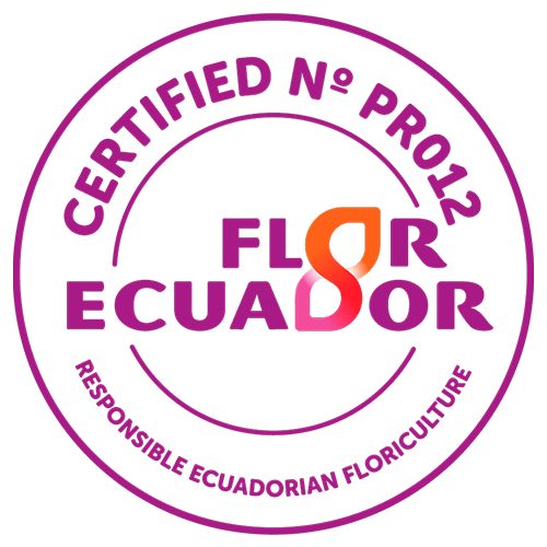 Fashion Flower - Certificación Flor Ecuador